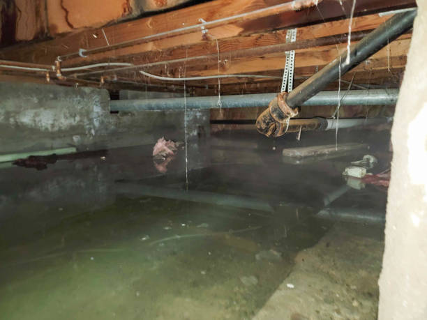 Carpet water damage restoration in Grant, MI