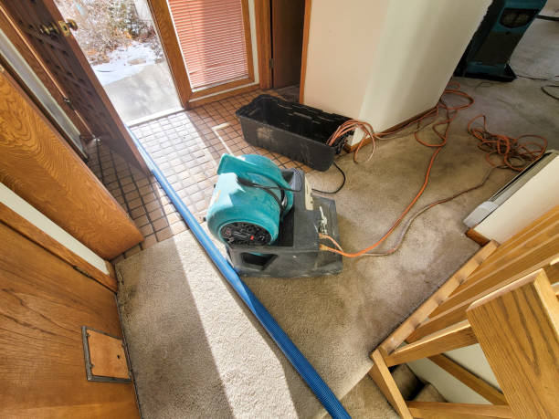 Best Water damage mitigation services  in Grant, MI