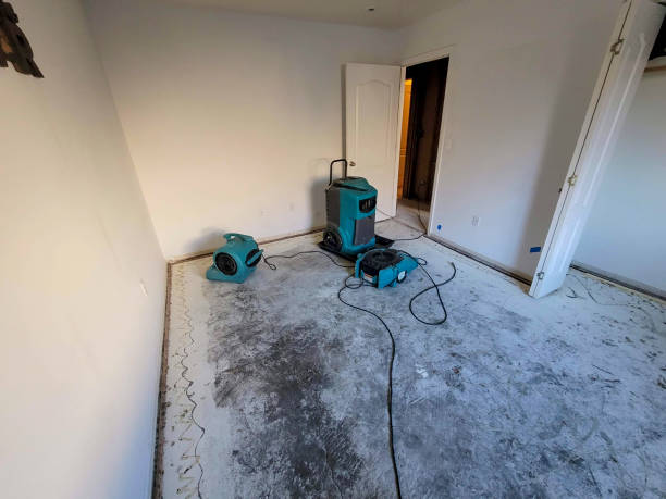 Best Flood restoration services  in Grant, MI