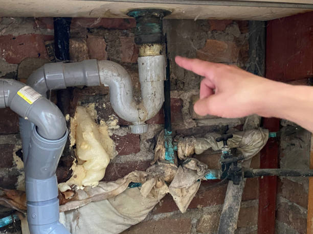 Best Water damage cleanup near me  in Grant, MI